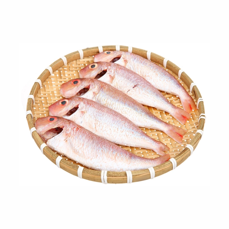 Cá đổng chàm